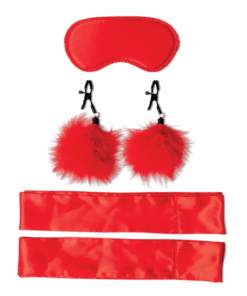 Amor Bondage Beginner Kit