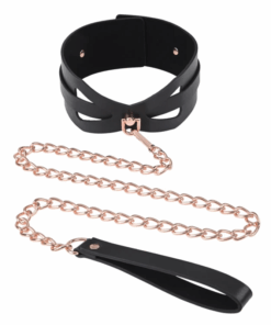 Brat Collar & Leash